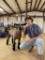 BRANCE BOLDEN MUSTANG FFA - Sheep