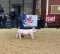 GRAYSON MORRIS - YUKON FFA