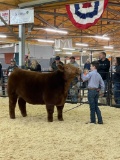 BEN SHERRY - YUKON FFA