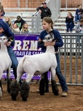 MADISON GRAHAM - MILLER 4-H