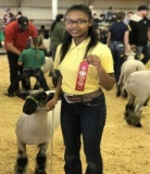 MERZEDEZ MCNACK MUSTANG FFA - Sheep