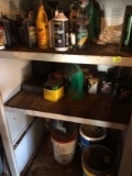 Cabinet of Contents, Oil
