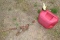 5 gallon gas can and wire stretcher
