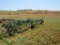 John Deer 6 Bottom on Land Plow