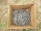 Box of 2 in fence staples