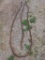 21ft chain