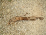 Star Line Vintage rope and pulley wire stretcher