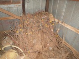 Hundreds of electric T post some with insulator