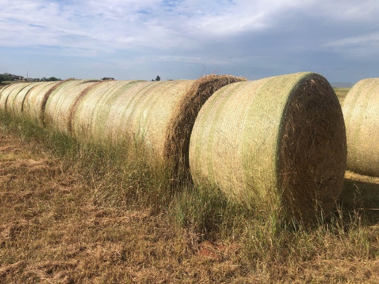 Hay Auction