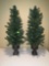 Pre-Lit Christmas Trees in Urn