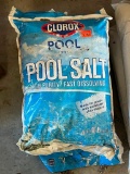 Clorox Pool Salt