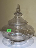 Clear Glass Apothecary Jar with Lid