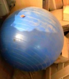 workout ball