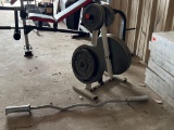 Weights & Curl Bar