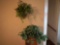 Artificial Greenery in Wall Sconce Planter & Basket