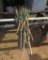 Bamboo Sticks