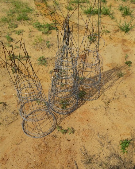 Tomato Cages