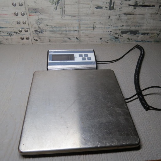 Large portable scale
