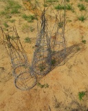 Tomato Cages