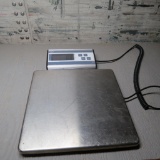 Large portable scale