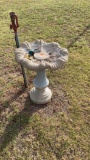 bird bath