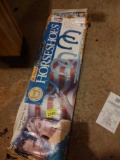 horse shoe set