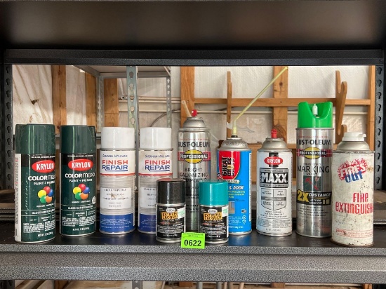Spray Paint & Shop Sprays