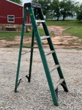 6 ft Step Ladder