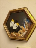 framed art-butterfly