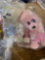 stuff animals