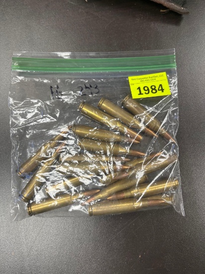 243 ammunition