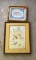 Bird and owl pictures
