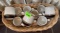 basket, coffee cups