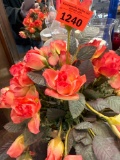 Rose Rocks, fake flowers and more