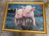 pig picture