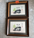 panda bear picture
