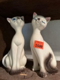 siamese cats