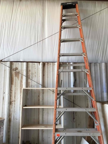 12 ft ladder