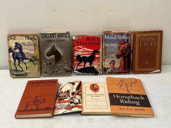 The Black Stallion Series & Horse Books