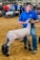 SAWYER WILLRATH