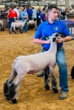 SAWYER WILLRATH