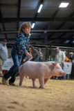 JACKSON ALSIP