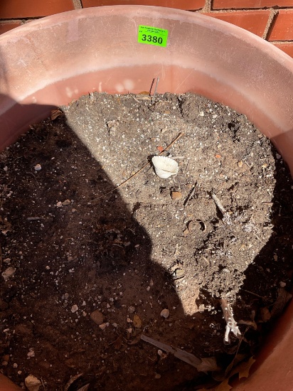 Plant pot full of dirt