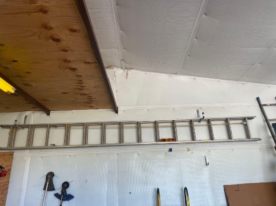 25 foot metal extension ladder