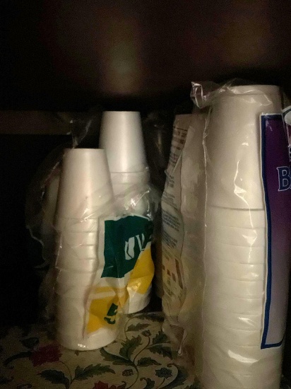 Foam cups, forks, food bag to keep your food cold or warm
