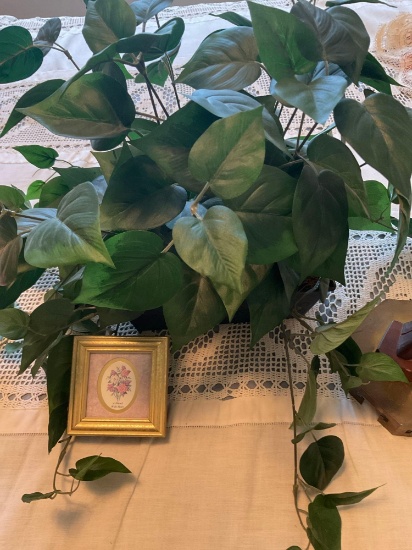 Artificial ivy, picture, bishop reading scripture