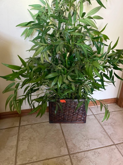 Decorative greenery