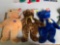 3-Large, TY Beanie Buddies, Beanie Bears. All one Money.