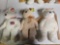 3 Large, TY Beanie Buddies, Beanie Bears. All one Money.
