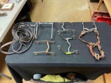 Group of 6 Horse Bits in Several Sizes and Styles
